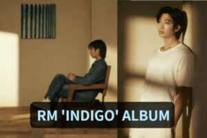 RM releases INDIGO album
