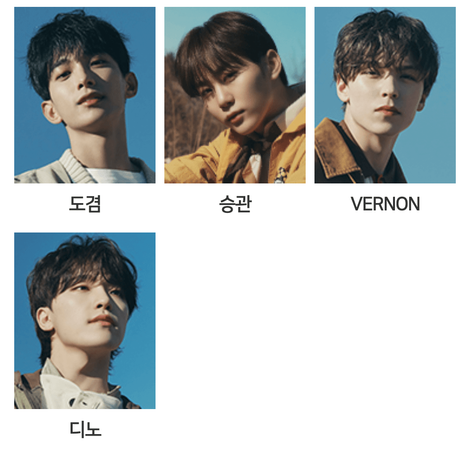Seventeen Official Site