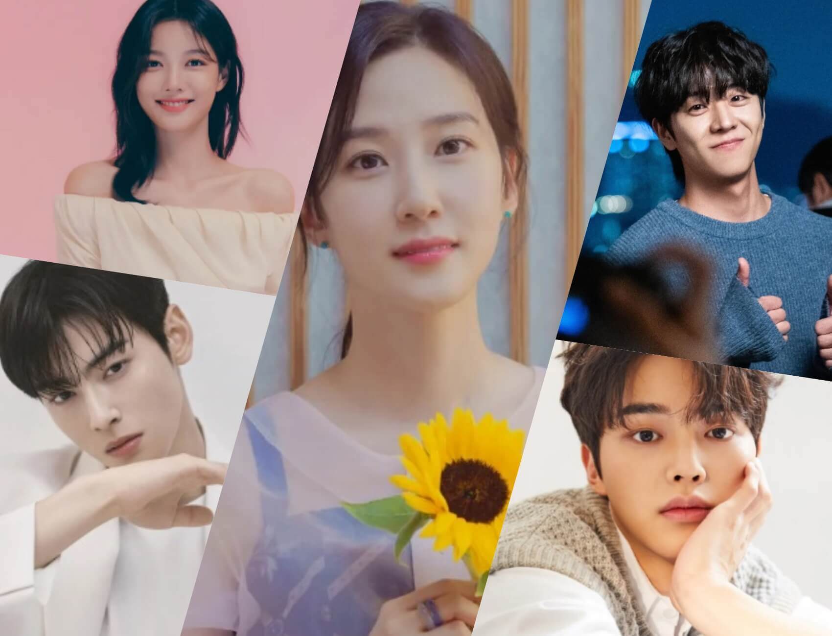 top 20 K-Drama Stars Rankings